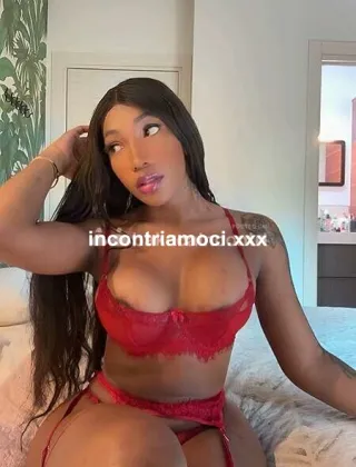2 - Maya Trans Reggio Emilia - 3508749207