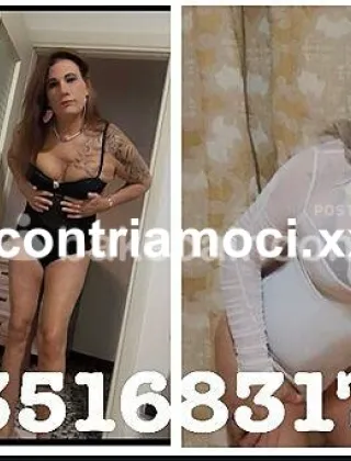 6 - Bella Trans Trans Alessandria - 3516831771