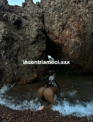2 - Ines Trans Lodi - 3516678625