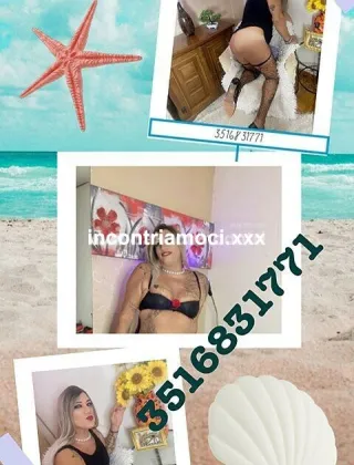 1 - Bella Trans Trans Alessandria - 3516831771