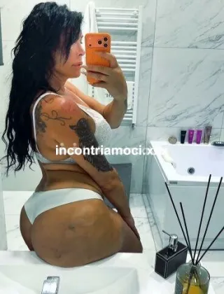 11 - Kim Trans Caserta - 3313252921