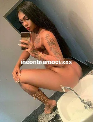 11 - Beronica Trans Prato - 3927376777