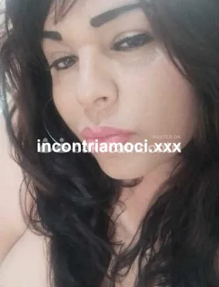 11 - Sofia Trans Milano - 3793828385