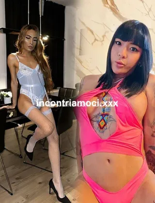 3 - Nina Trans Salerno - 3333284393