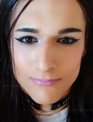 4 - Niki Trans Padova - 3294543442
