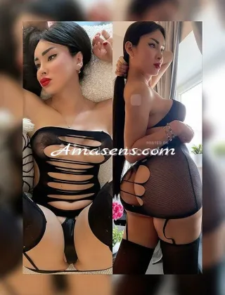 1 - Pamela Trans Varese - 3295550528