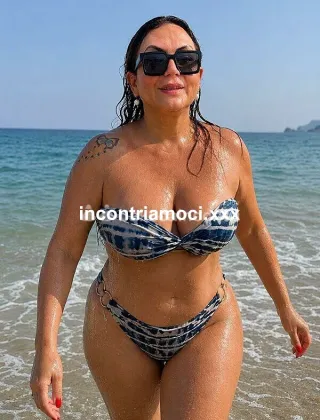 4 - Monytransvideo Trans Torino - 3248405735
