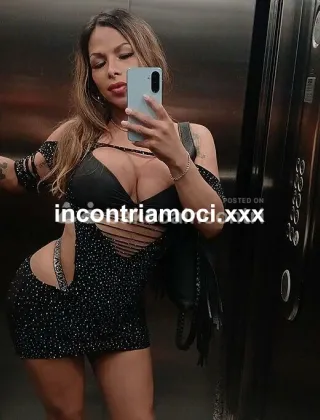 6 - Lola Trans Varese - 3936722099