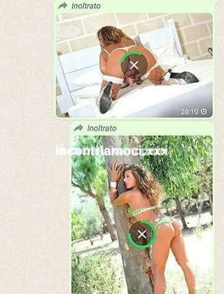2 - Eva Trans Brindisi - 3533623580
