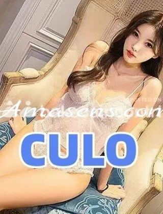 5 - Nuova Escort Novara - 3444329880