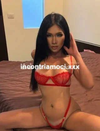 4 - Anita Trans Treviso - 3470681578