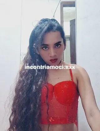 11 - Mishel Trans Torino - 3384044432