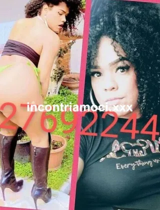 1 - Brunella Trans Caserta - 3276922441