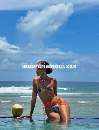 16 - Lilianna Escort Novara - 3389911253