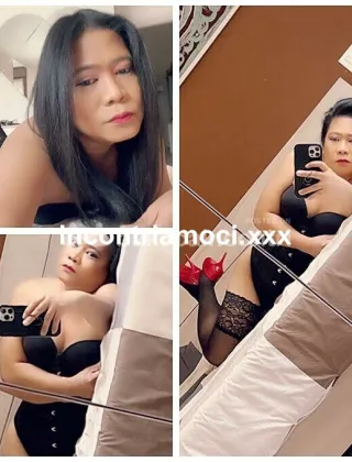 4 - Ahya Asiatica Trans Bologna - 3520527496