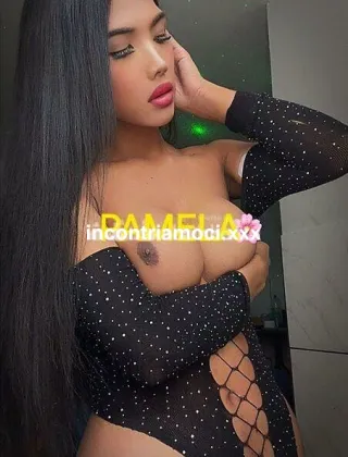 2 - Dayana Trans Vicenza - 3509715091