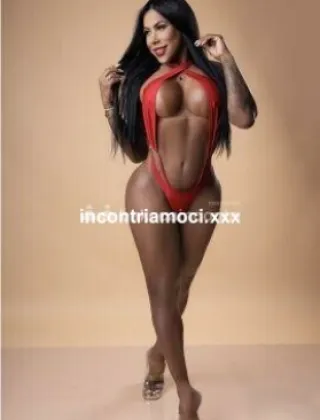 12 - Morena Trans Latina - 3513692344