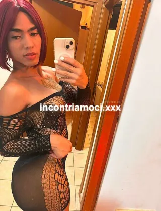 10 - Paris Trans Pescara - 3534805328