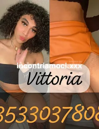 1 - Vittoria Trans Latina - 3533037807