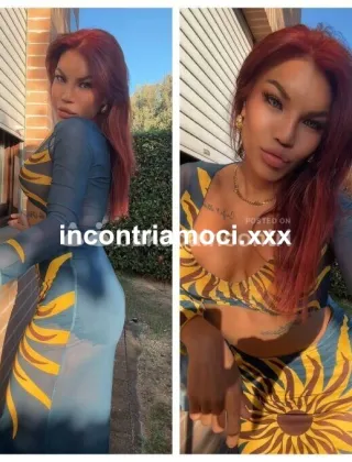 6 - Mandy Trans Grosseto - 3270531479