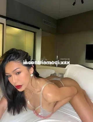 3 - Katy Trans Firenze - 3444370827