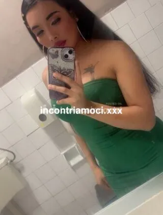 3 - Sheynis Trans Piacenza - 3883454134