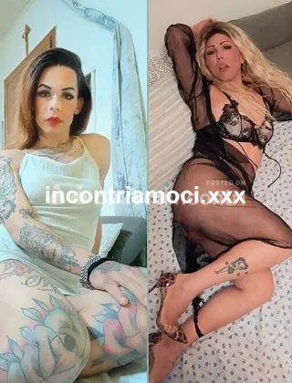 1 - Dayse Trans Torino - 3533266520