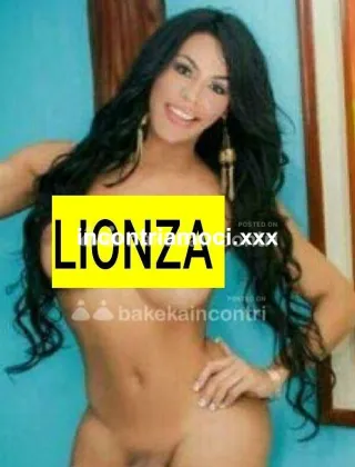 9 - Lionza Cavallona Trans Campobasso - 3348219962