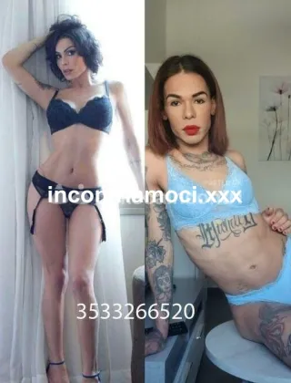 3 - Dayse Trans Torino - 3533266520