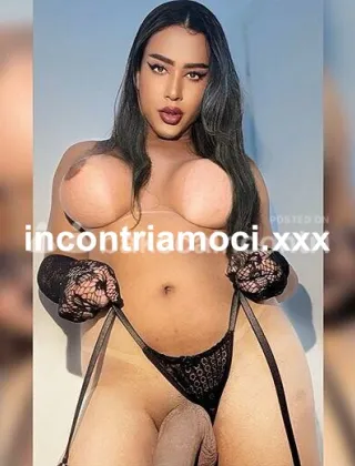 1 - Jade Trans Ancona - 3511277385
