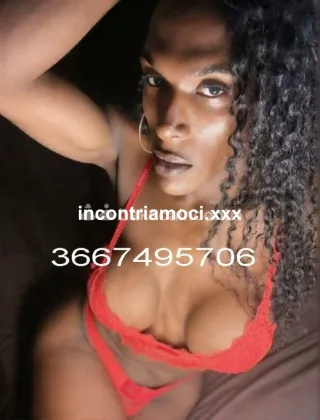 5 - Diana Trans Lucca - 3667495706