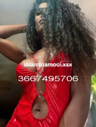 2 - Diana Trans Lucca - 3667495706