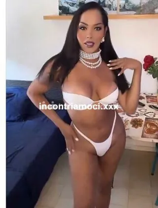 3 - Luciana Trans Latina - 3510006709