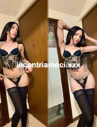 2 - New Trans Terni - 3934142935