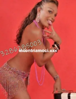 6 - Priscila Trans Firenze - 3286285003