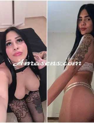 5 - Trans Campobasso - 3511357551