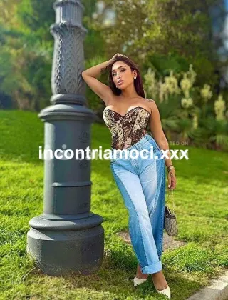 6 - Leisy Trans Milano - 3924678488