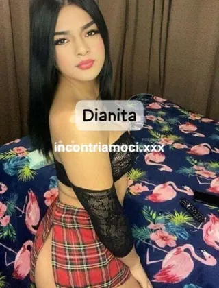 2 - Dianita Trans Monza e della Brianza - 3512329662