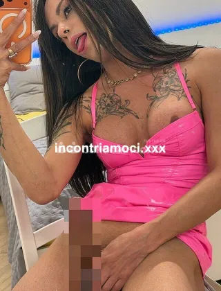 4 - Pene Trans Torino - 3508981892