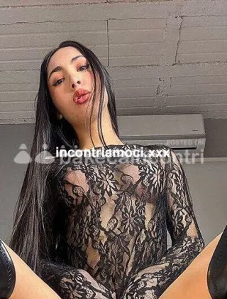 5 - Kimberlin Trans Latina - 3715273114
