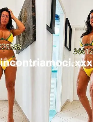 17 - Ylari Trans Roma - 3661225588