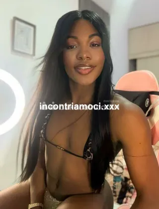 2 - Shaira Trans Brescia - 3511872722