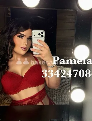 16 - Pamy Trans Pesaro e Urbino - 3342470846