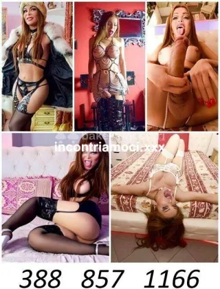 15 - Trans Milano - 3888571166