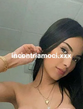 1 - Pamela Trans Torino - 3476095593