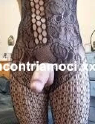 5 - Vivalla Trans Reggio Calabria - 3271707446