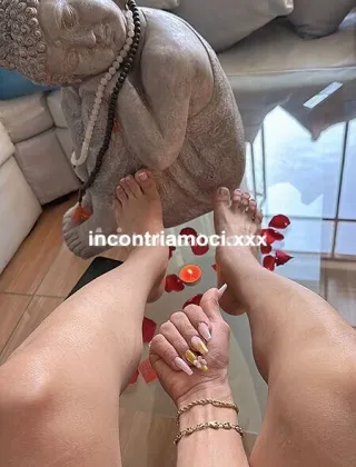 11 - Maciel S Trans Milano - 3933810400