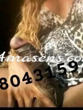 4 - Leonna Trans Avellino - 3311701971