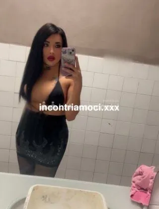 5 - Sheynis Trans Piacenza - 3883454134