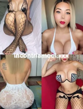 2 - Katty Trans Bologna - 3894566774